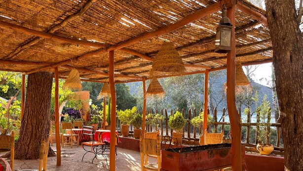 Une terrasse extérieure dotée d’un toit de chaume, de meubles en bois et de plantes en pot.
