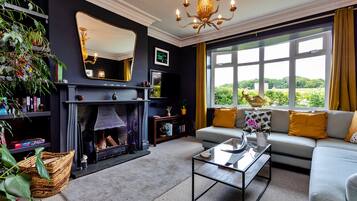 TV connectée, cheminée