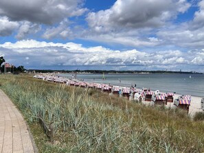 A beach with rows of beach chairs and umbrellas, a path beside the beach, and a distant view of a city skyline.