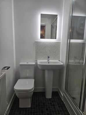 Bathroom features a white toilet, sink, and glass shower enclosure.
