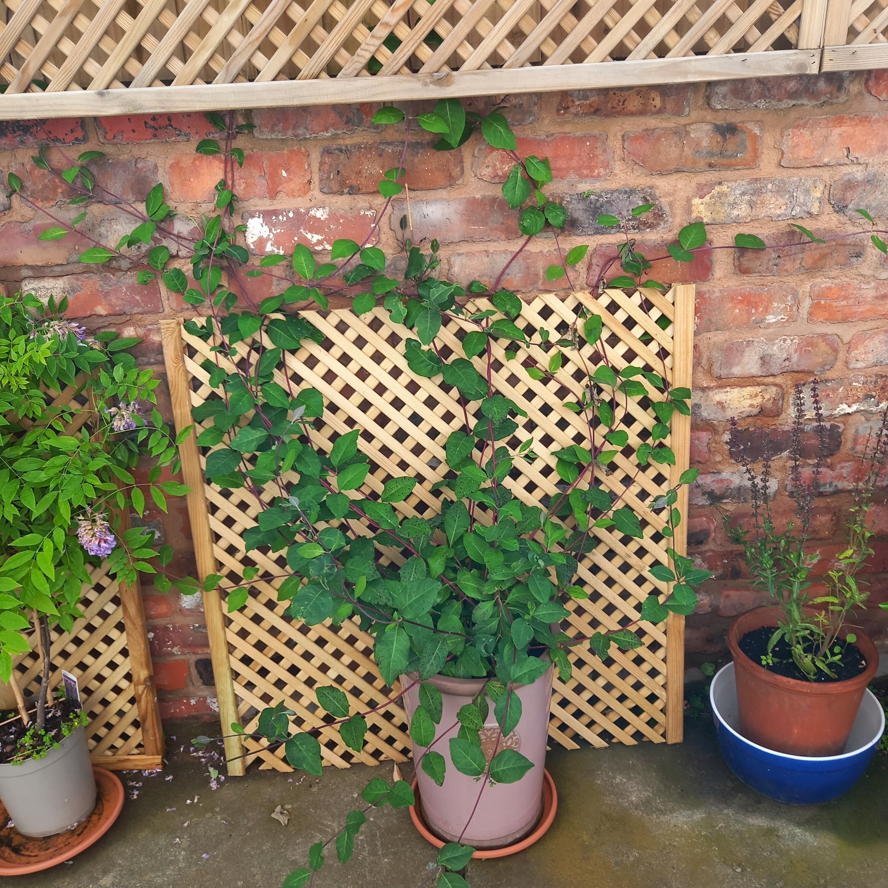 Un muro de ladrillo con un panel de madera enrejada.