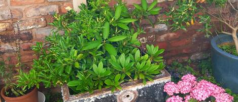 Áreas de la propiedad