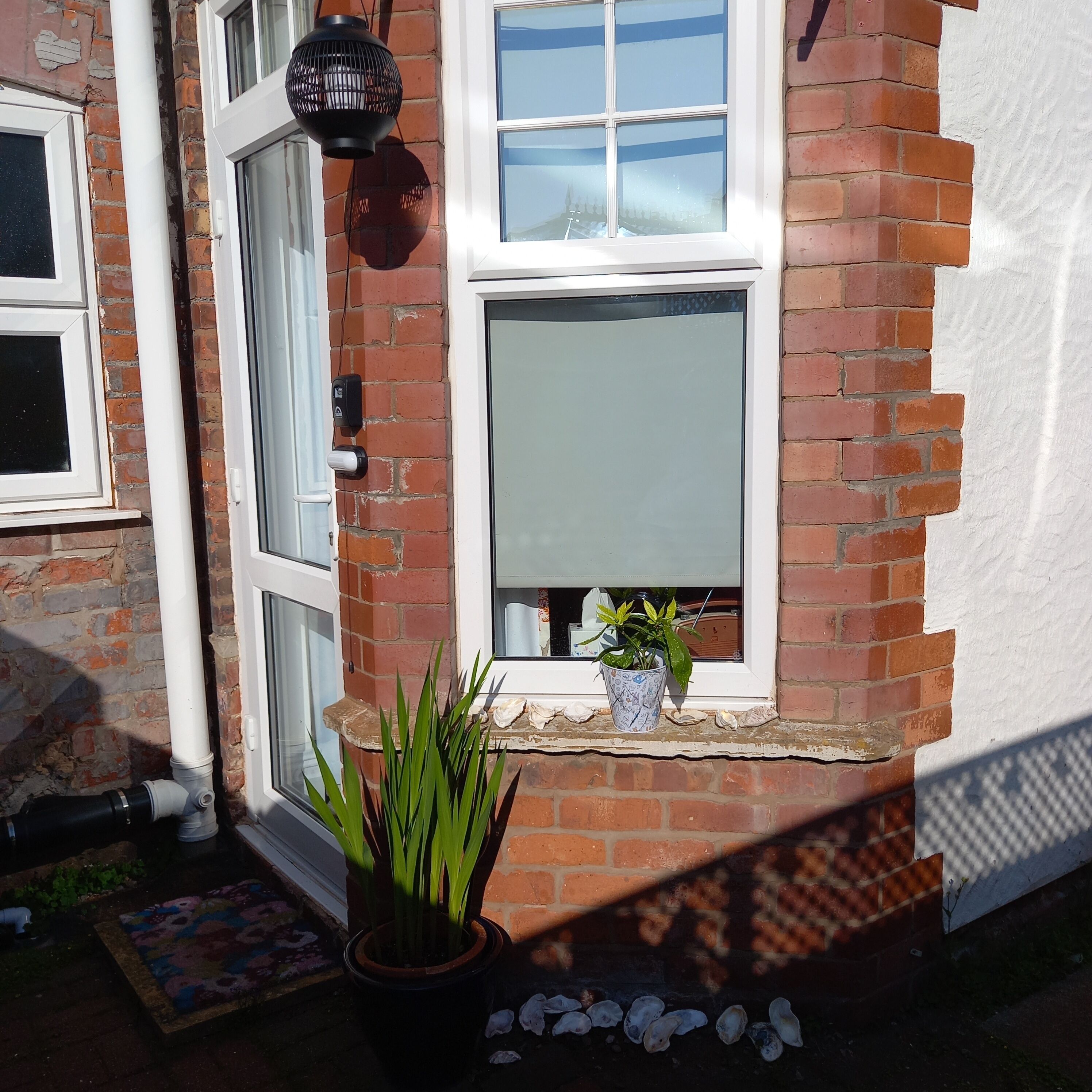 A brick house with a window, a potted plant, and a door.