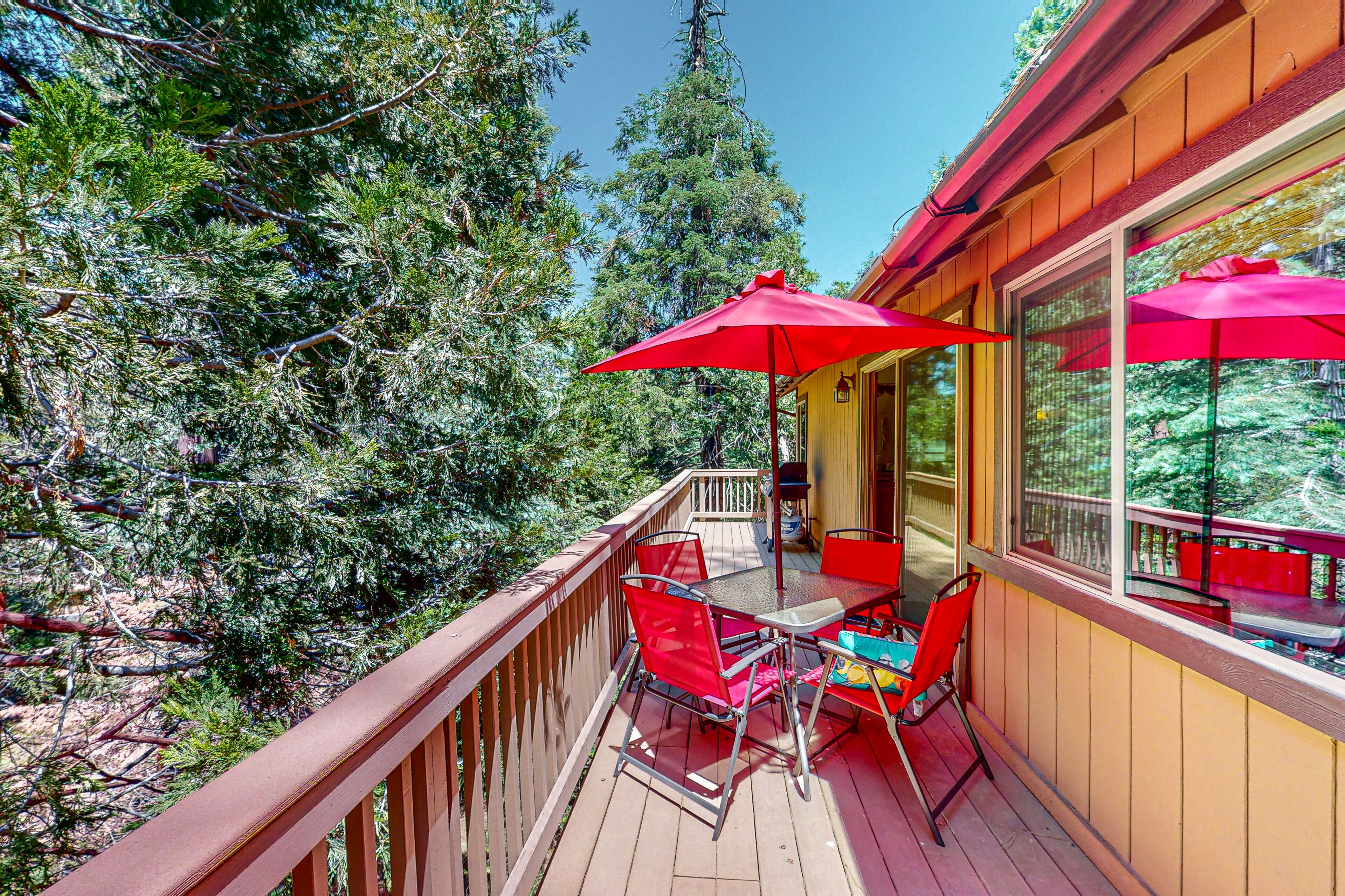 Secluded home with 2 fireplaces, grill, mountain views, streaming, and decks