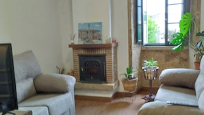 A living room with two sofas, a fireplace, a television, and a window with a plant.