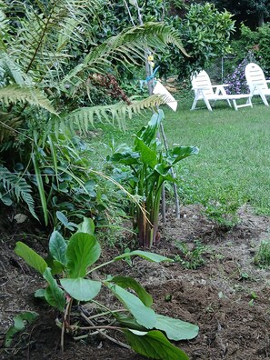 Overnattingsstedets uteområder