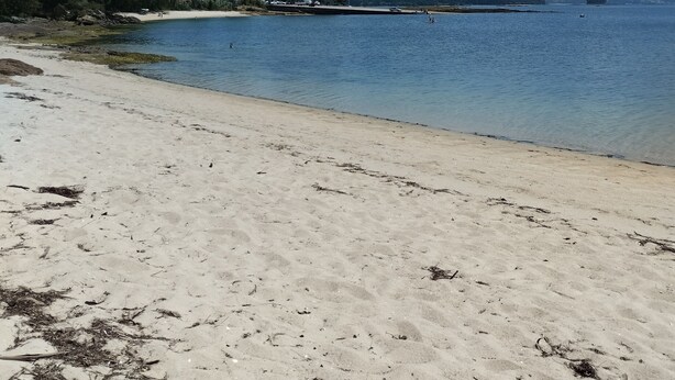 A beach with clear skies and calm water.