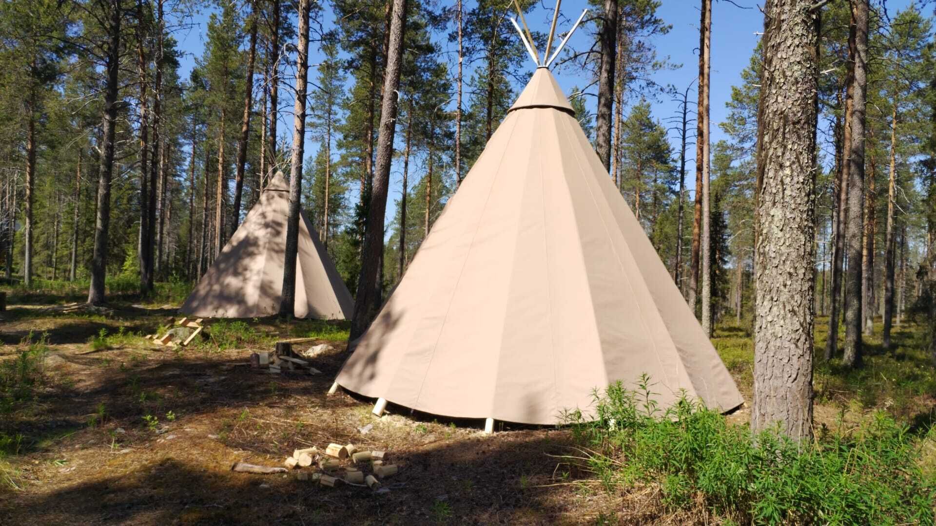 A tipi in a forest with another tipi in the background.