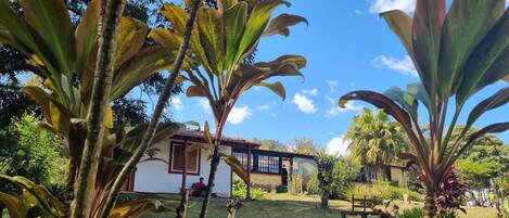 Vista desde la habitación
