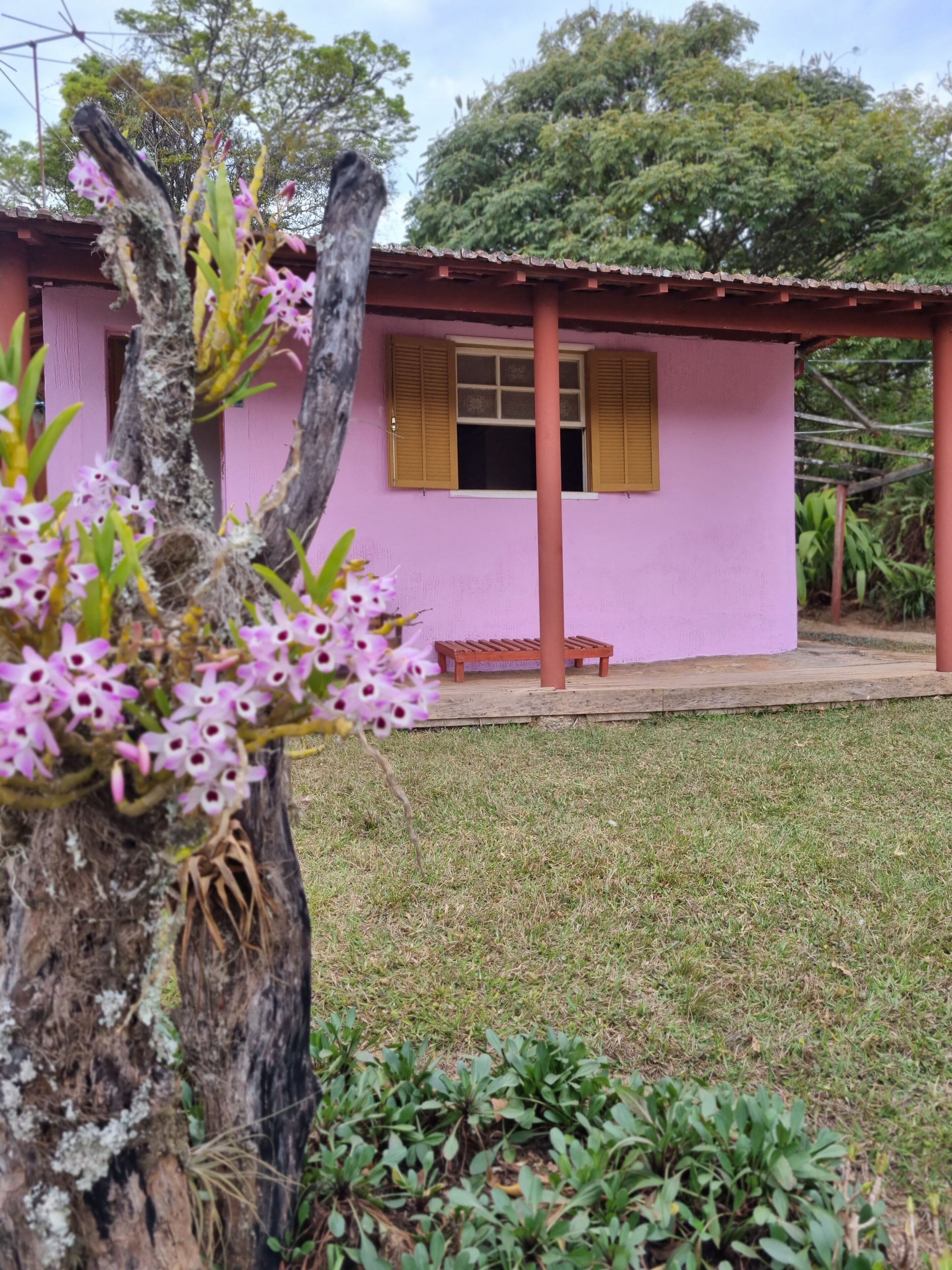 A pink building with a wooden bench outside, surrounded by grass and plants.