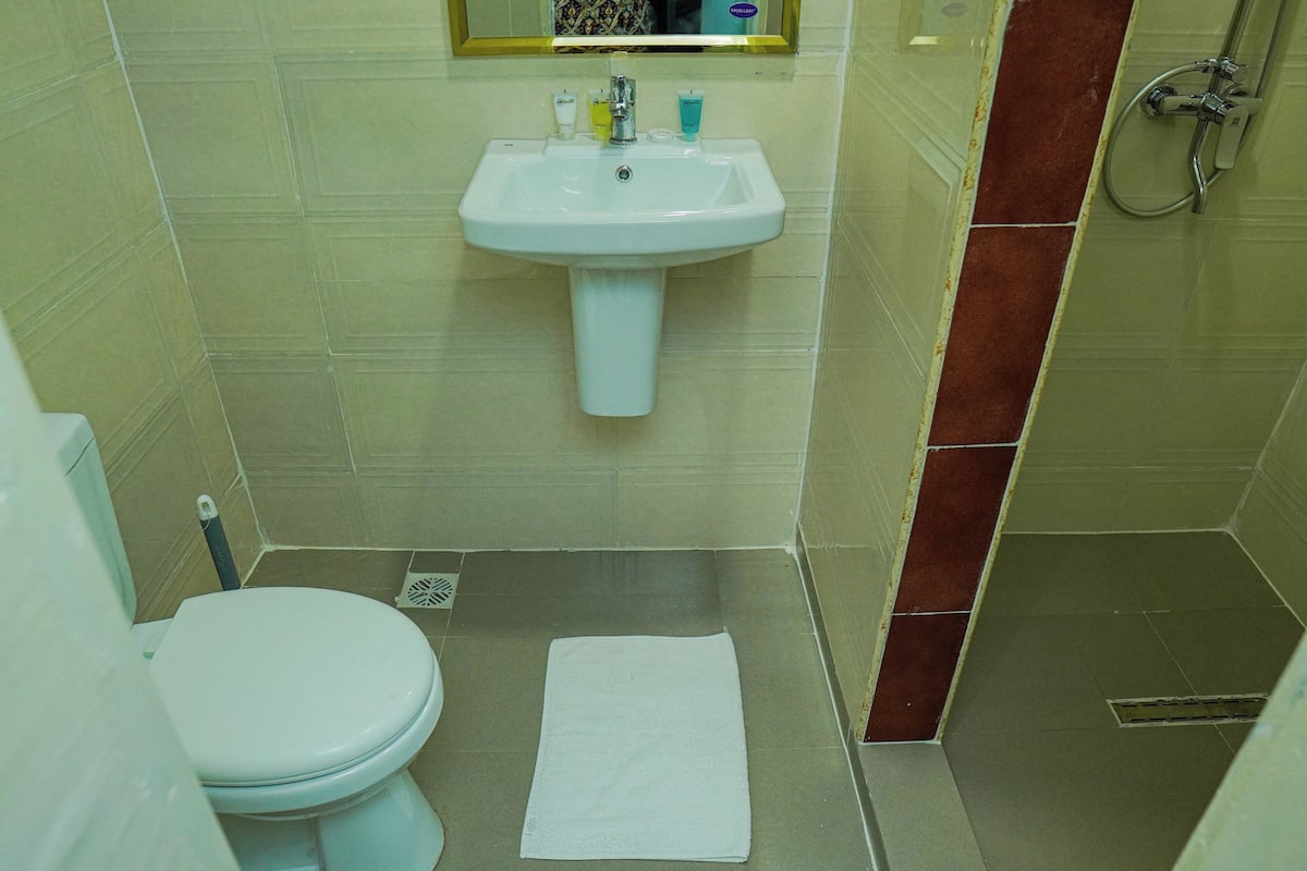 standard double room | bathroom shower