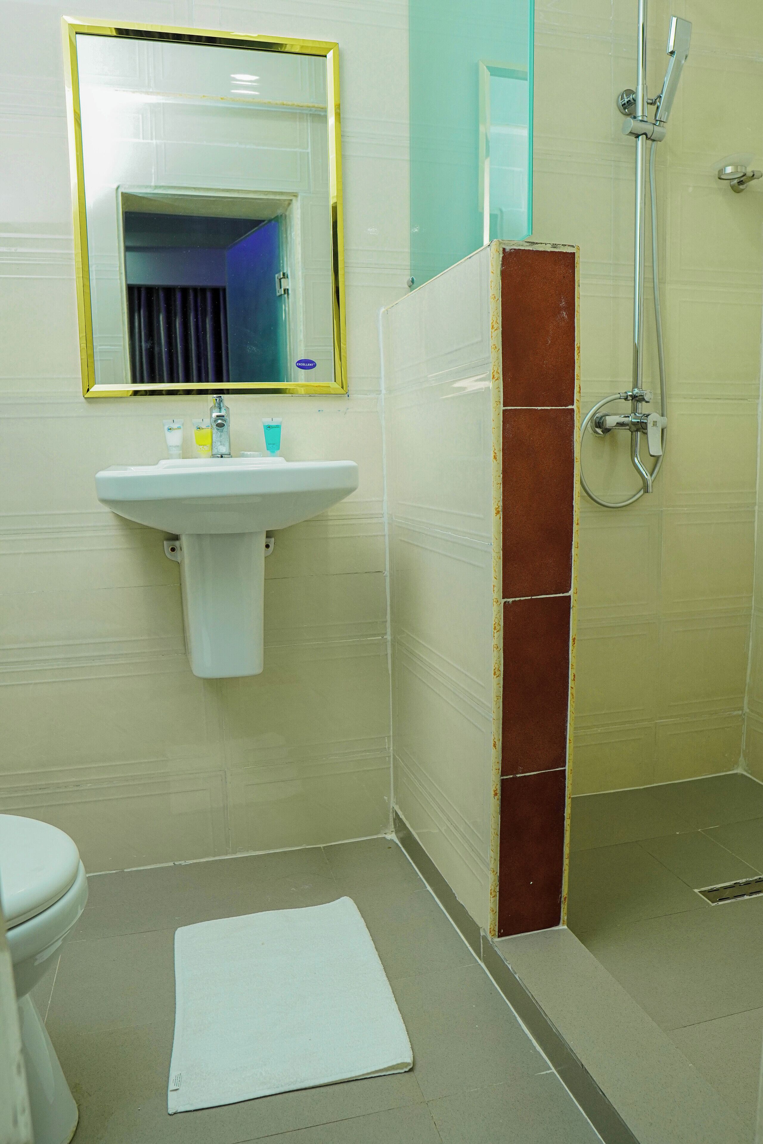 deluxe room | bathroom | shower, free toiletries, soap, shampoo
