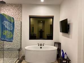 Shower, hair dryer, towels, soap -  New 2023. Private pool Spa & Fit Center, Mountain Lodge @ Sereno Canyon Casita  (Scottsdale)