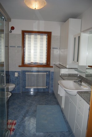 Dusche, Whirlpool, Haartrockner, Bidet