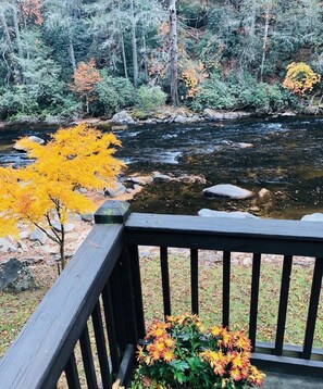 Property grounds - A River Retreat is an Authentic A-Frame with 200' frontage on the Toccoa River (Blue Ridge)