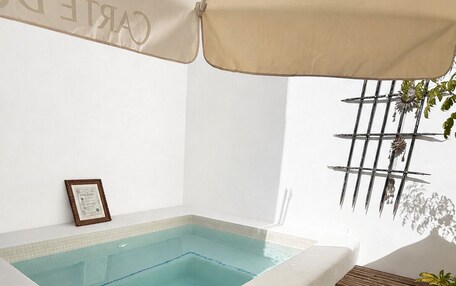 A spa area with a hot tub, a framed certificate on the wall, and a pergola with climbing plants.