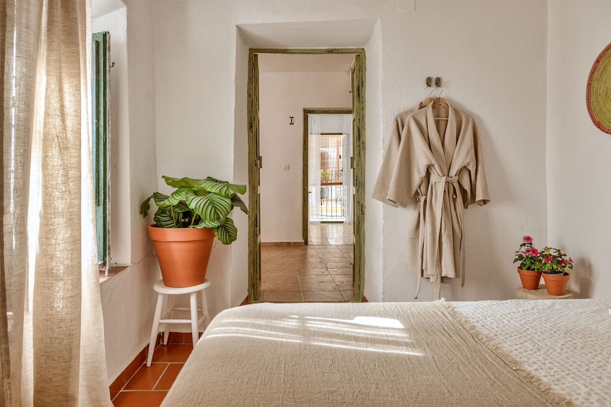 A bedroom with a bed, a robe hanging on the wall, and a potted plant.