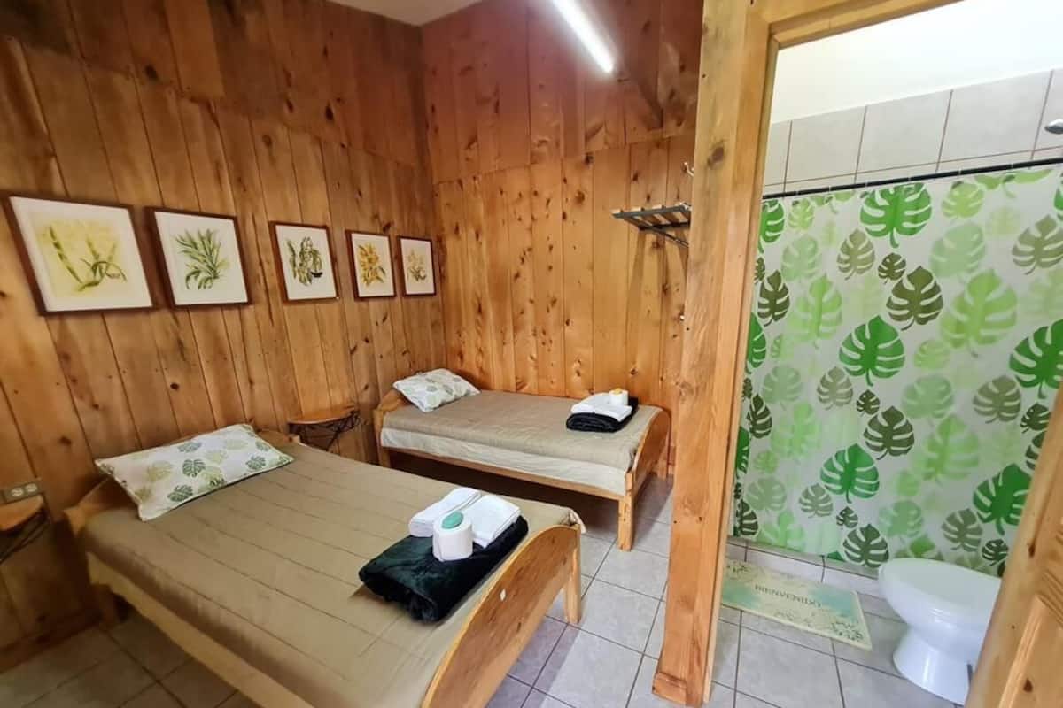 Down duvets, pillow-top beds, bed sheets