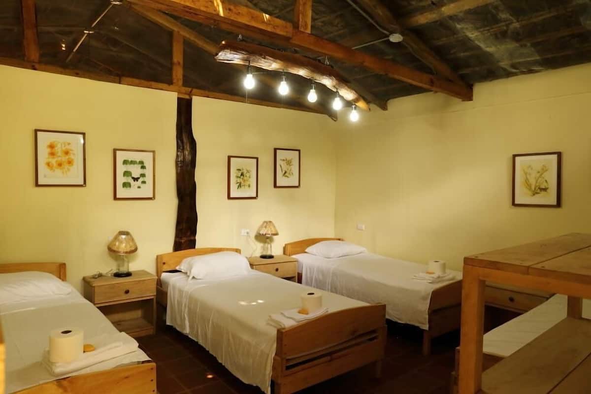 Down duvets, pillow-top beds, bed sheets