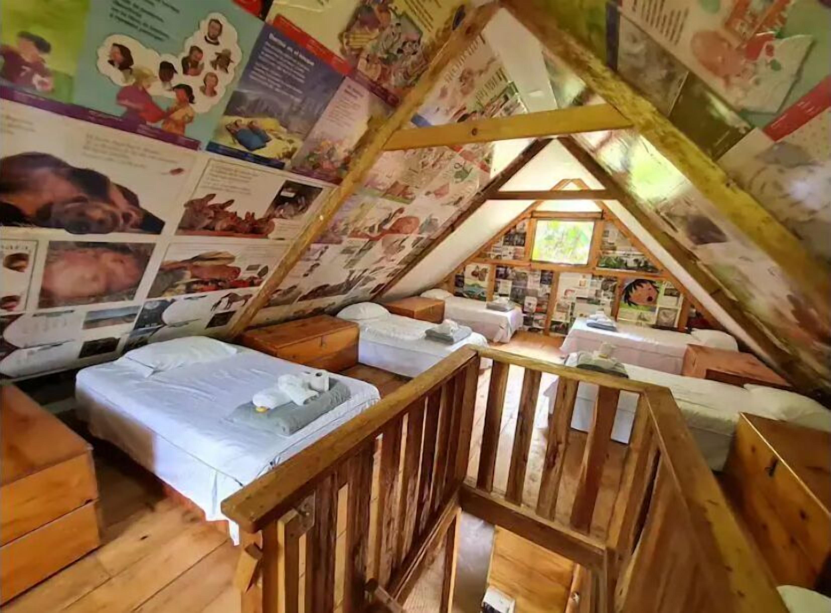 Down duvets, pillow-top beds, bed sheets