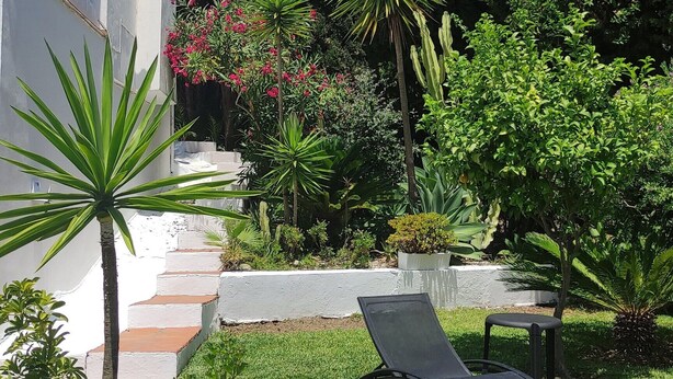 A garden with a white building, a black lounge chair, and a tall tree. - La Gaspara's loft (Estepona)