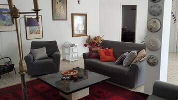 Smart TV, fireplace, DVD player, books