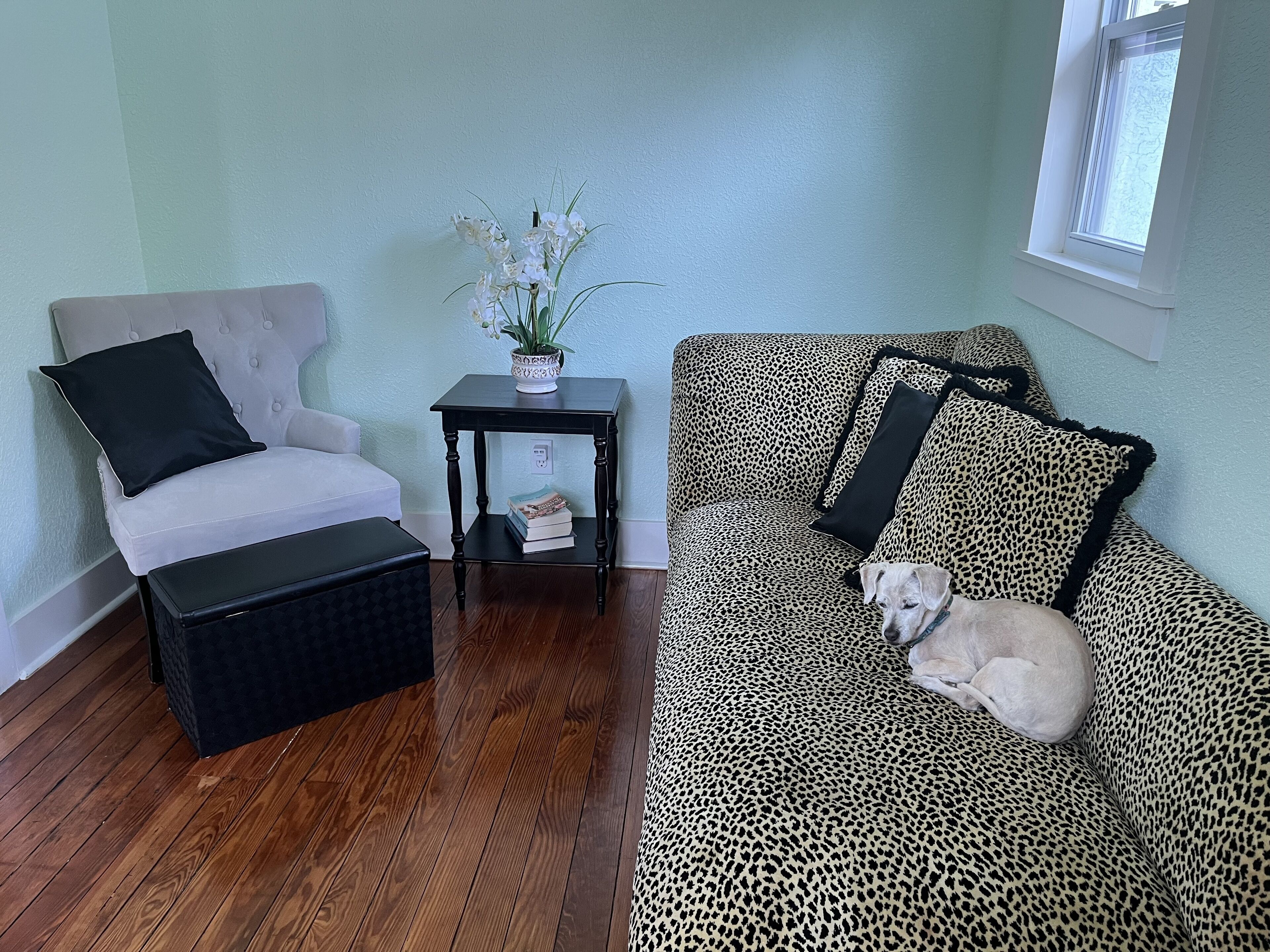 A living room with a white armchair, a black ottoman, a leopard print sofa, a small black side table with a plant, and a window.
