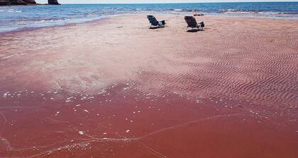 Beautiful Beach House, 3 Bedroom, 2 Bath, Bbq, & Firepit.