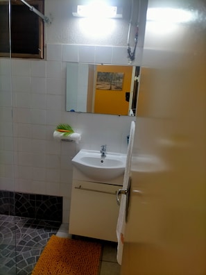 Regadera, secadora de cabello, toallas, papel de baño