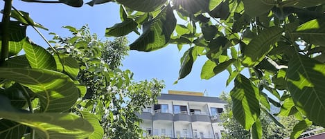 Façade de lâhĂ©bergement
