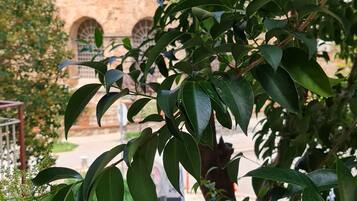 Details aan de buitenkant