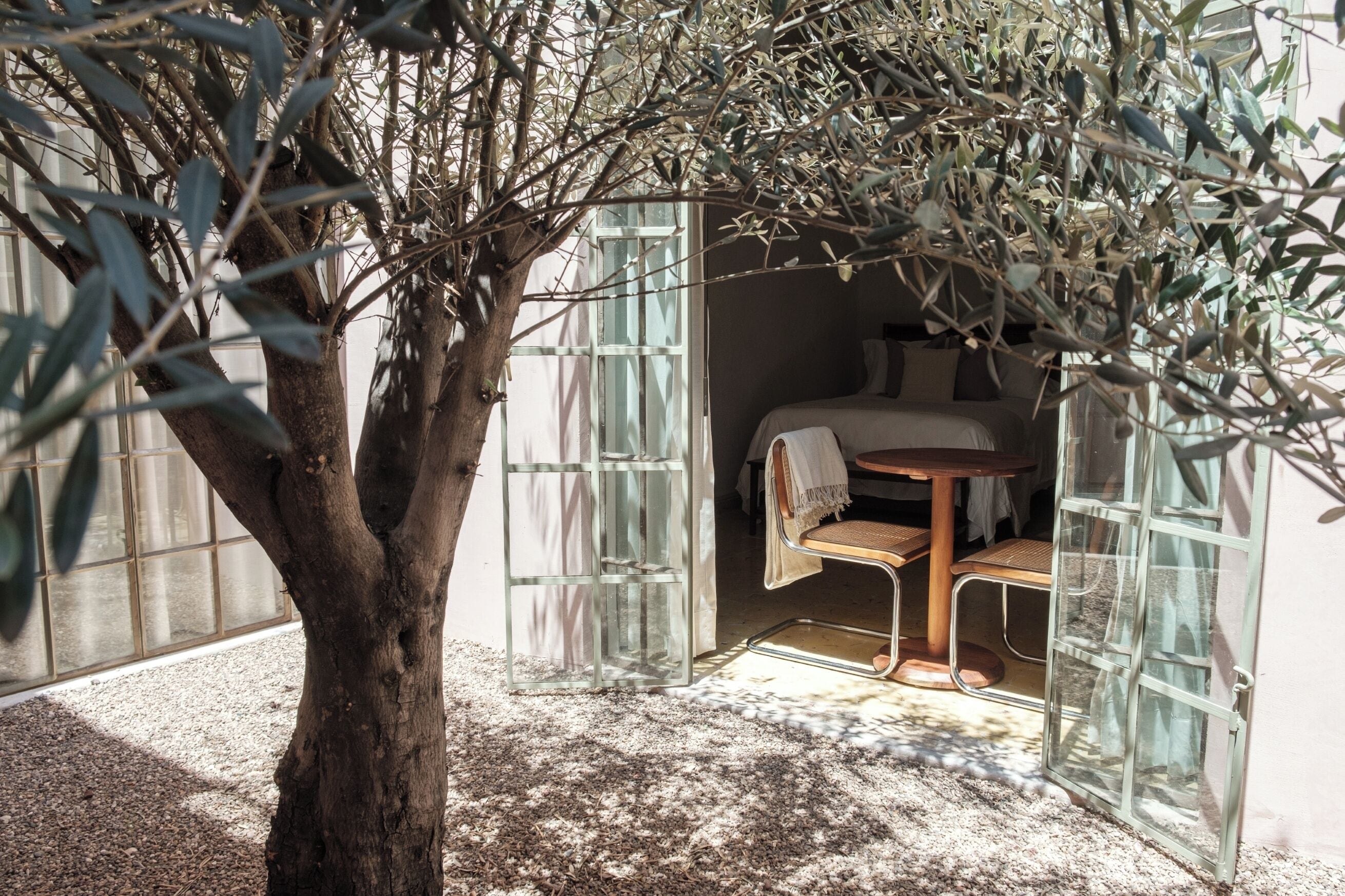 Foto - Hotel Hércules