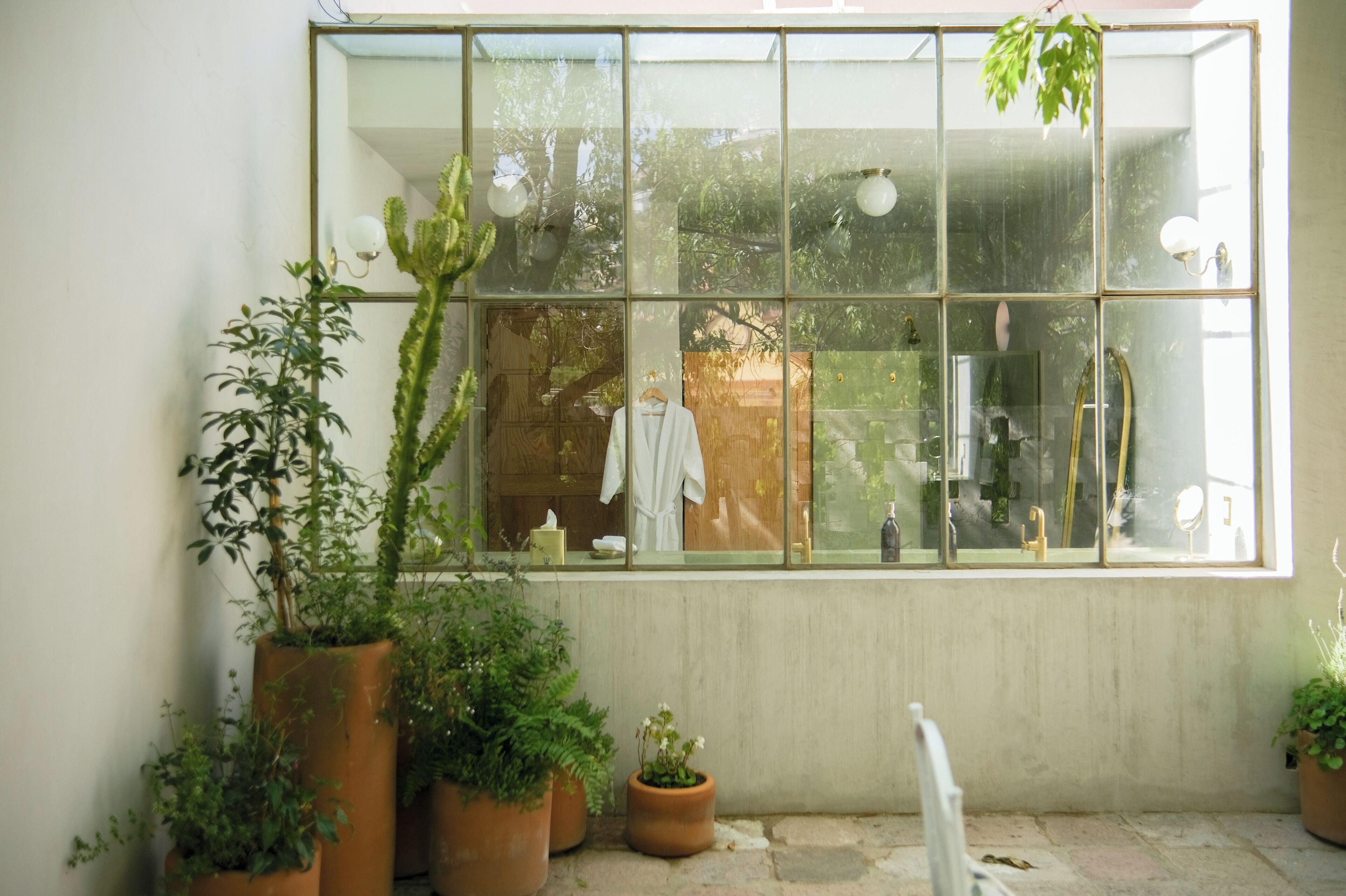 Foto - Hotel Hércules