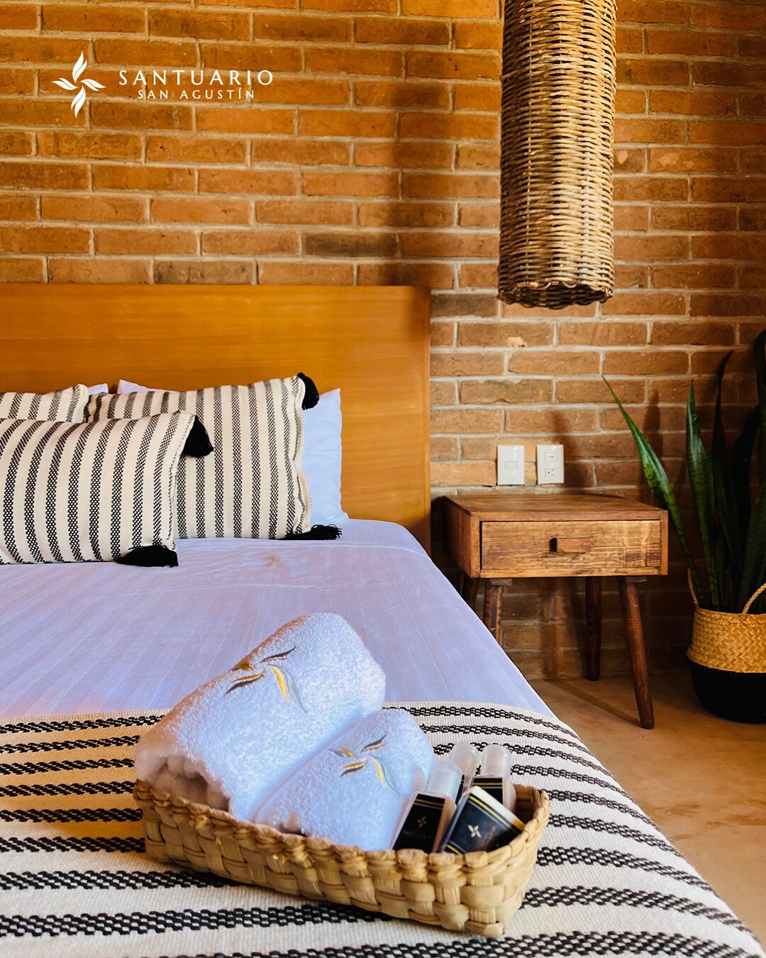 standard single room | premium bedding, select comfort beds, individually decorated