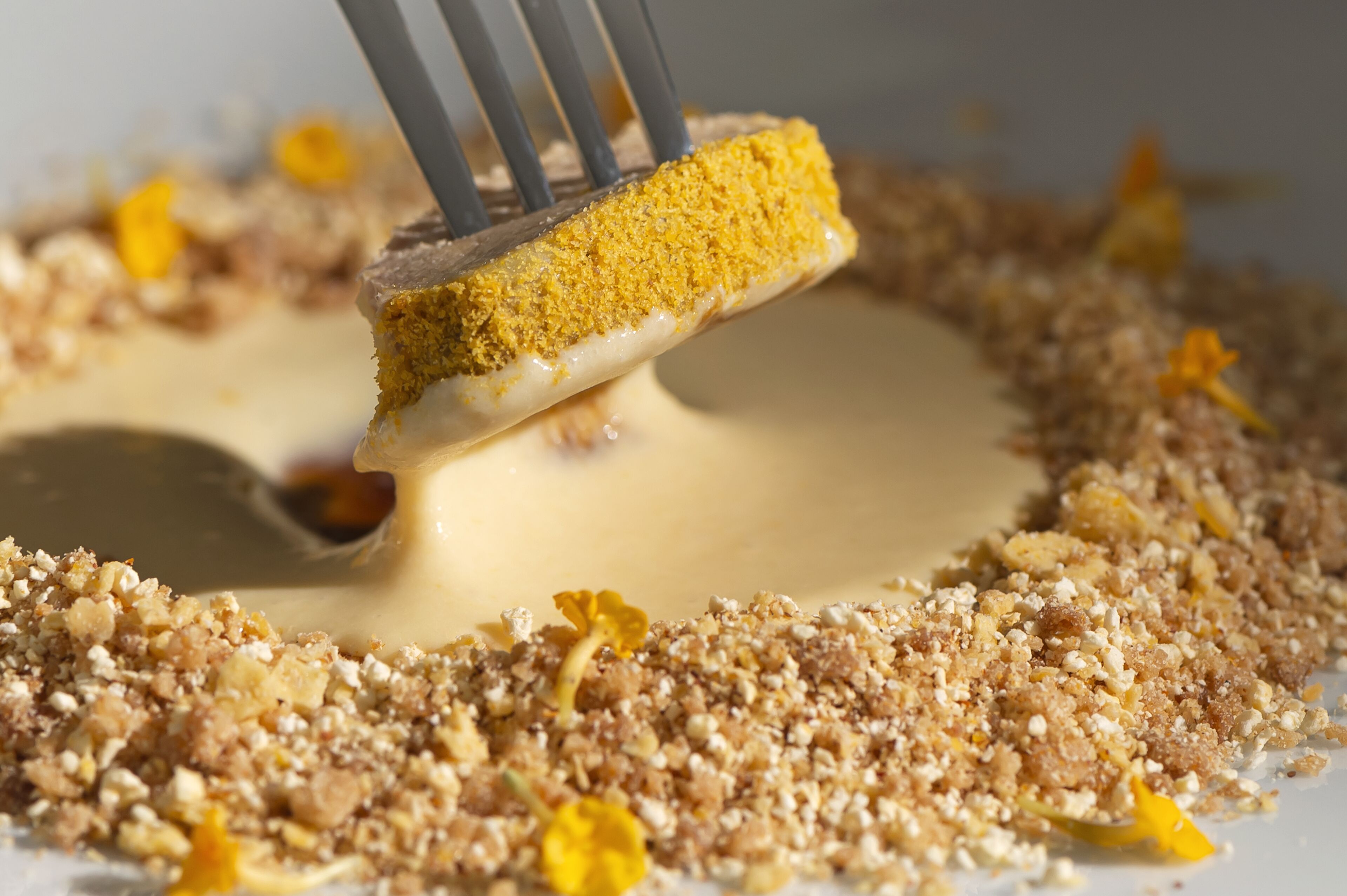 Une vue rapprochée d’un dessert à la garniture friable et à la base crémeuse, entouré de miettes et de petites fleurs jaunes.