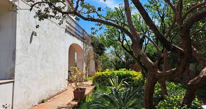 4 Bedroom Villa in Ischia