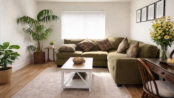 Smart TV, libros y monitor de computadora