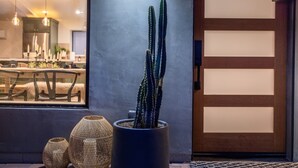 Ein modernes Interieur mit einem großen Kübelkaktus, Korbwannen und einer Holztür mit Milchglasfenstern.