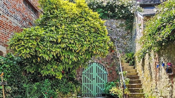 A narrow alleyway with a green gate, brick walls, and lush greenery. - La petite source: modern apartment in the heart of Honfleur (Honfleur)