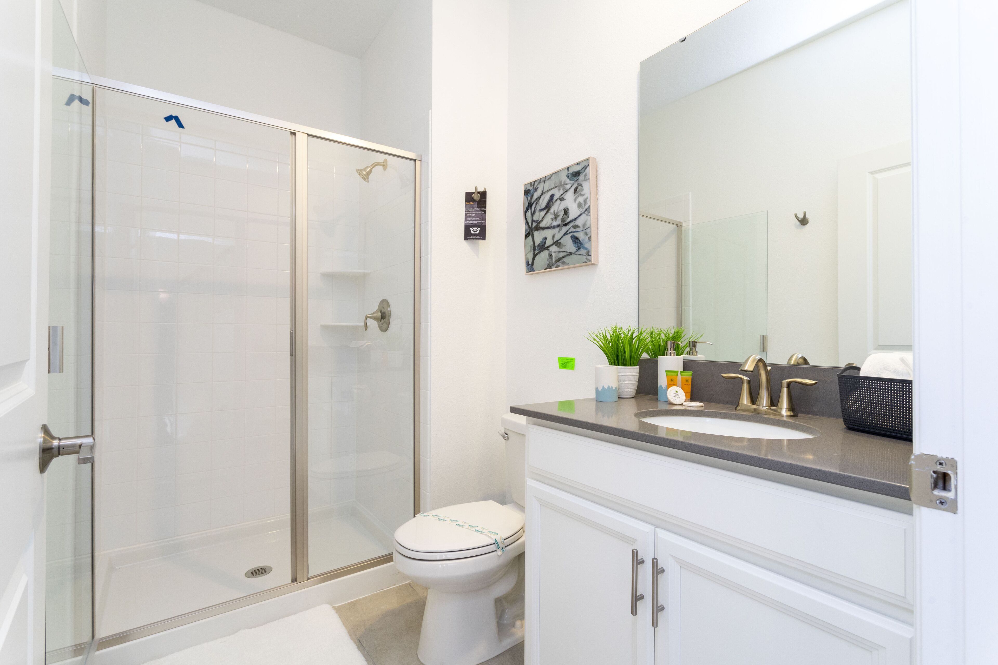 A modern bathroom with a glass-enclosed shower, a white toilet, and a sink with a large mirror above it.