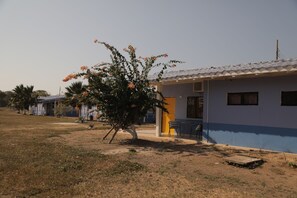 Muebles diferentes, wifi gratis y ropa de cama