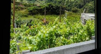 GuestReady - Retraite tranquille dans la nature