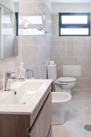 淋浴设施、吹风机、毛巾、肥皂