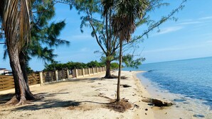 A sandy beach with a wooden fence and trees, overlooking a calm sea.
