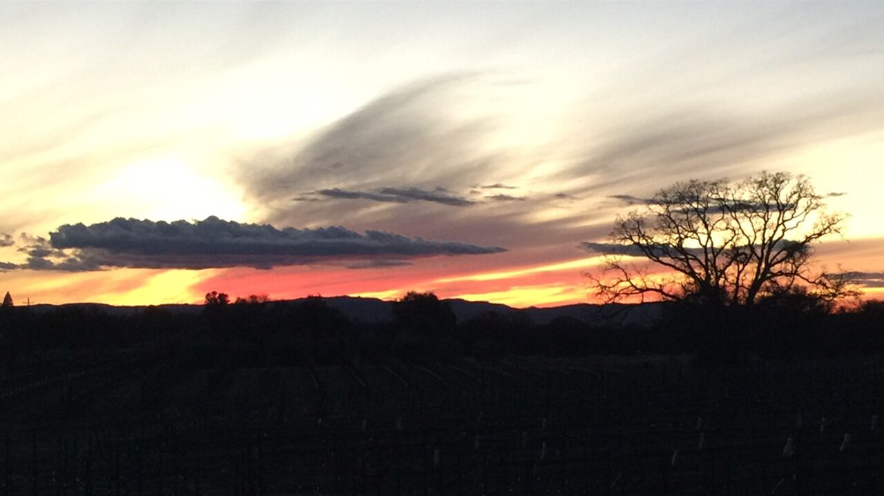 Een zonsondergang boven een landelijk landschap, met een opvallende boom in de lucht.