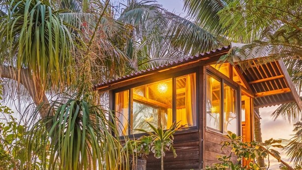 Une maison en bois avec des fenêtres en verre, entourée d’une végétation et de fleurs tropicales luxuriantes.