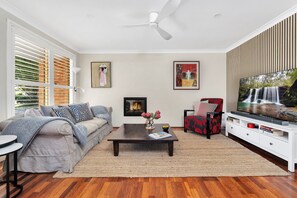 Smart TV, chimenea, libros y estéreo 