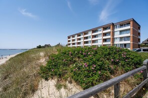 Unclassified image, 3 of 22, button