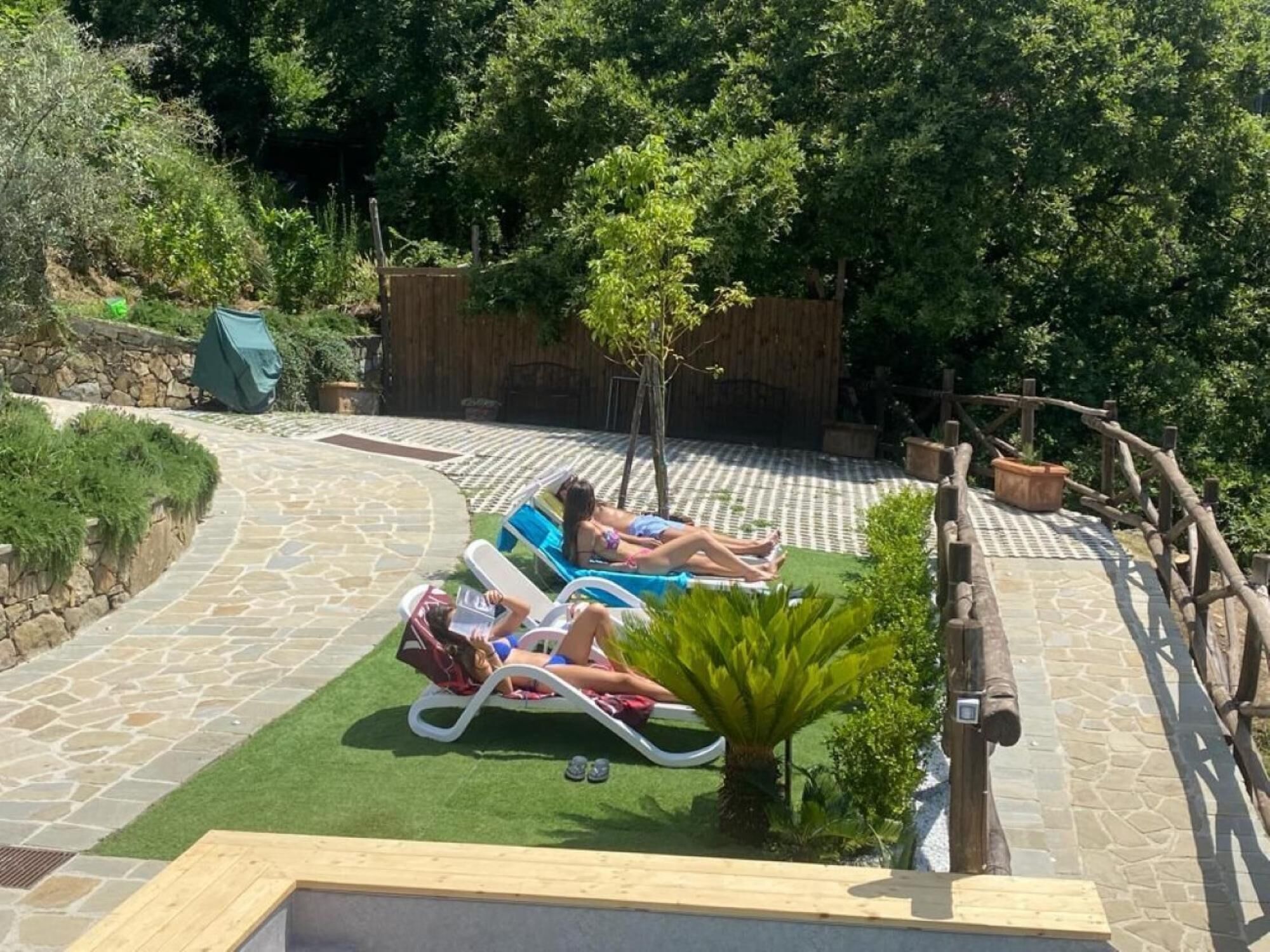 A pool area with lounge chairs and a small palm tree.