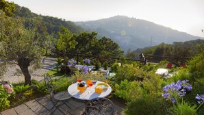 An outdoor patio with a round table and chairs, surrounded by lush greenery and a scenic mountain view.